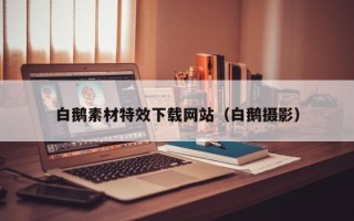 文山白鹅素材特效下载网站（白鹅摄影）